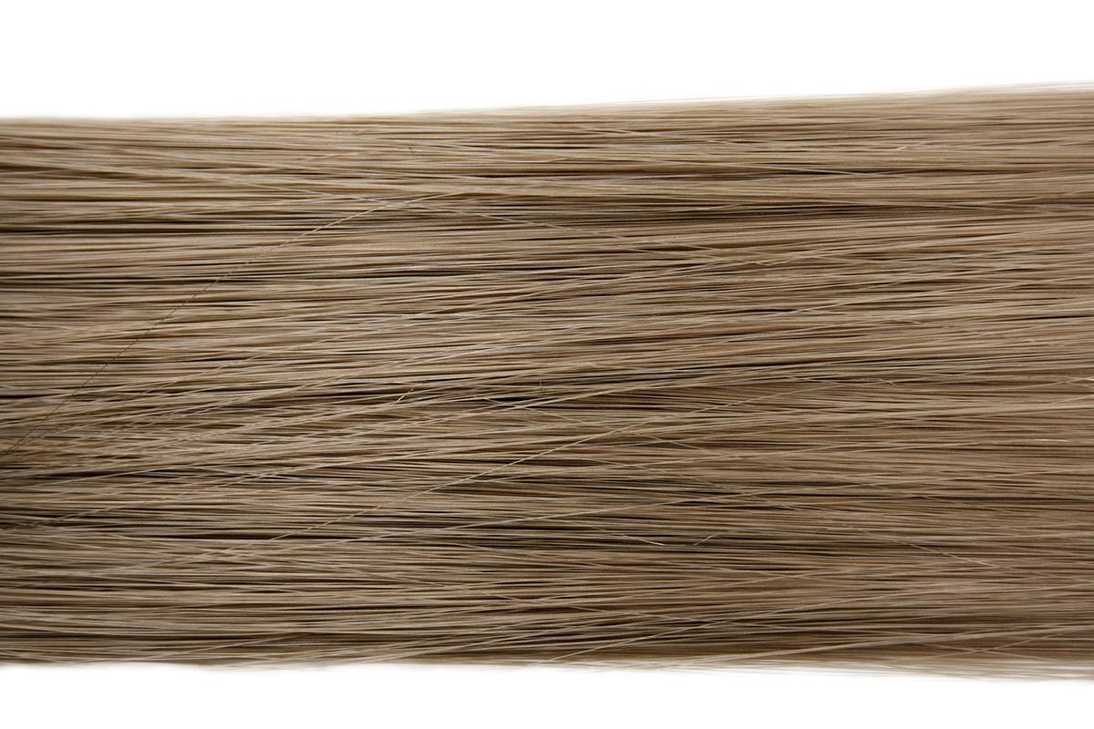 Closeup of ash blonde hair