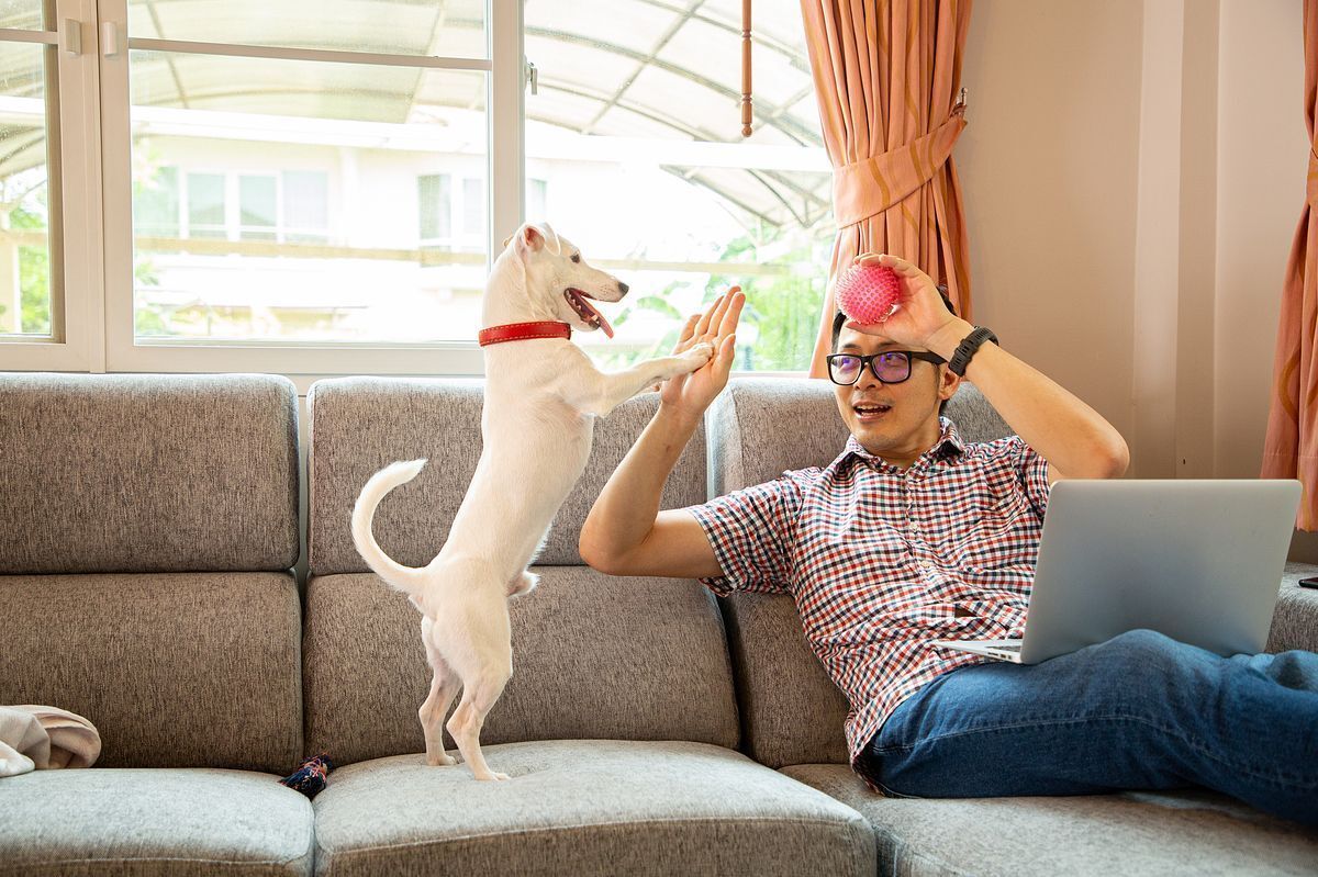 Asian man playing with a dog