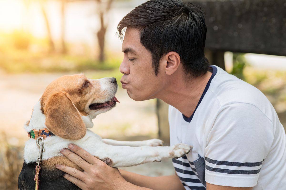 Asian man kissing pet