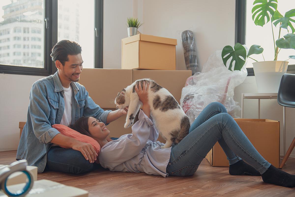 Asian couple playing with cat in apartment with boxes