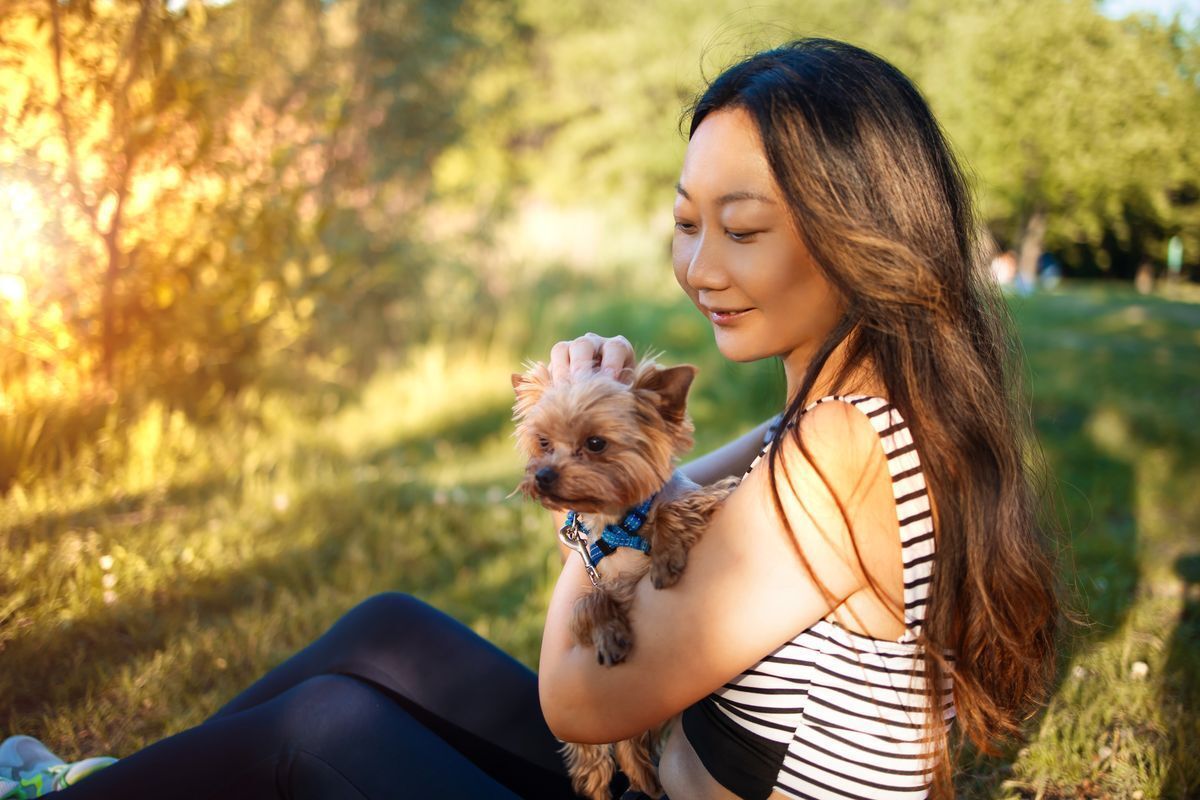 Asian woman with small dog during golden hour.