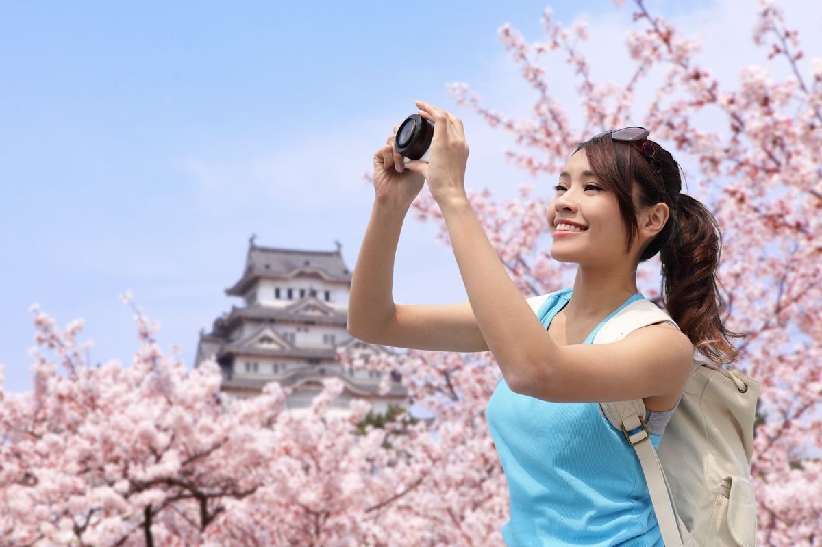  Sakura Cherry Blossoms Are Good for Your Body, Too! Here's Why