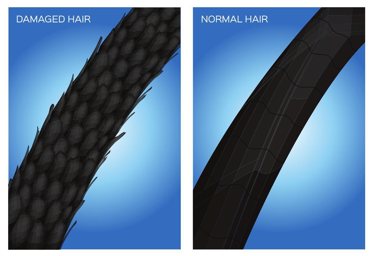 Close up of hair cuticle