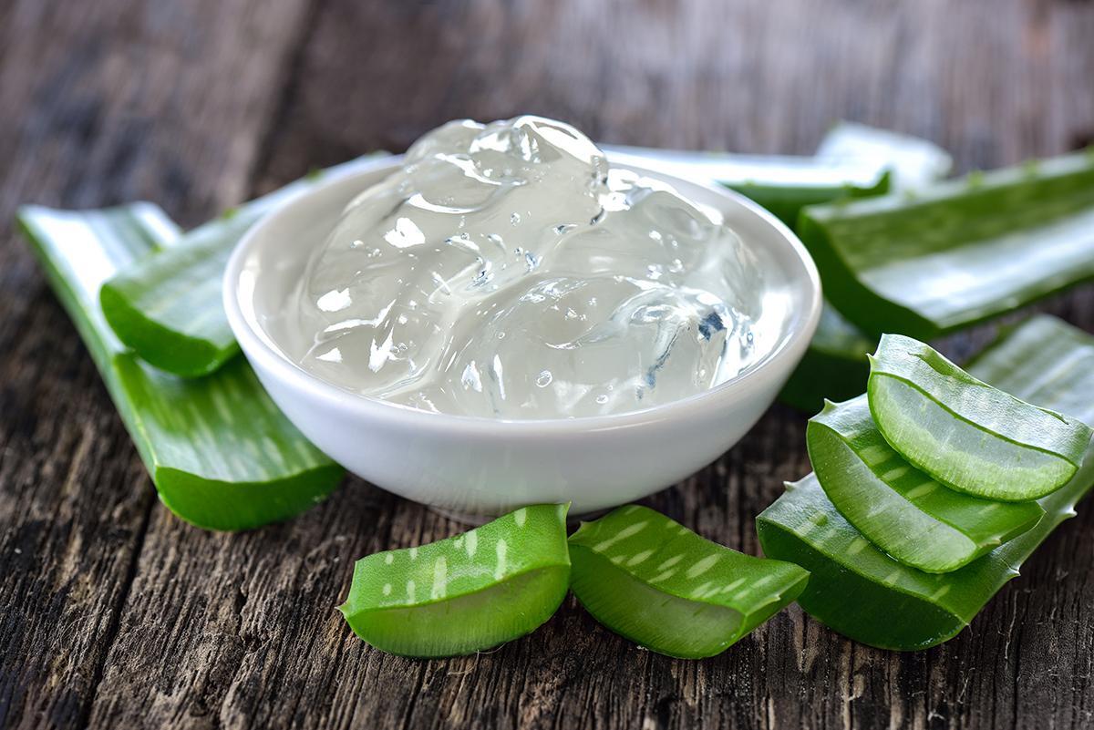 Aloe vera gel in bowl