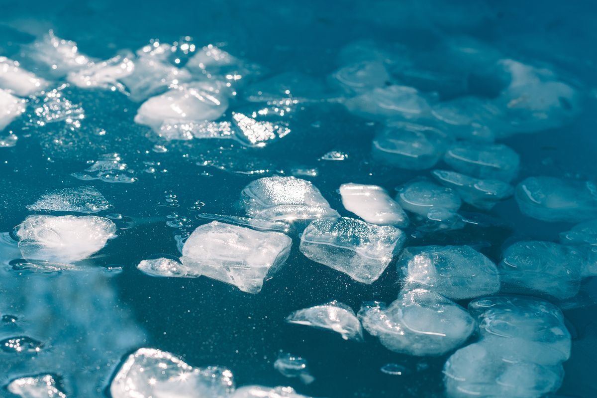 Large ice cubes in a body of cold water. 
