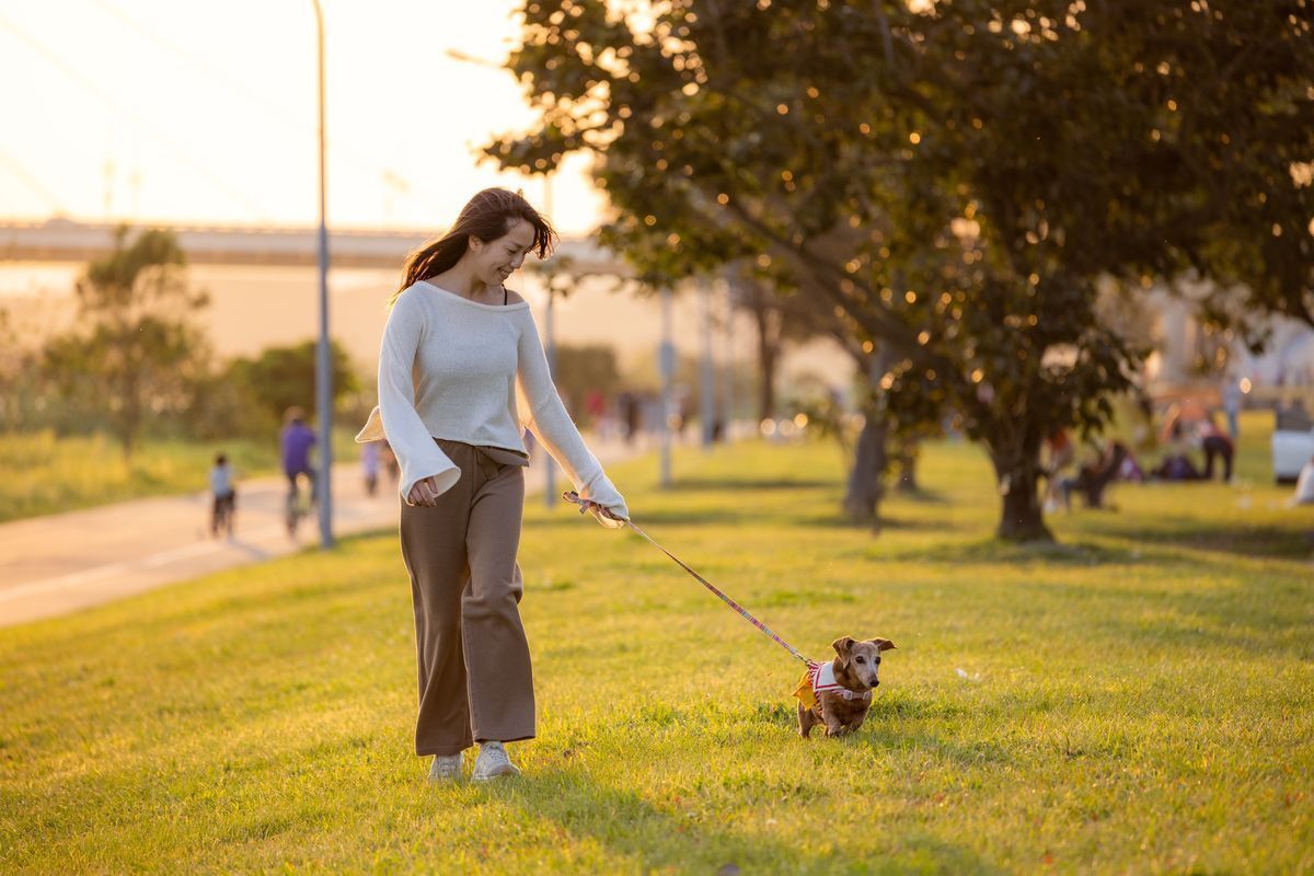 Woman walking her dog at the park.