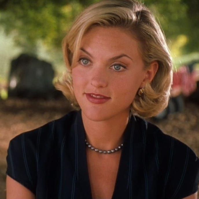A portrait of Elaine Hendrix as Meredith Blake in The Parent Trap.