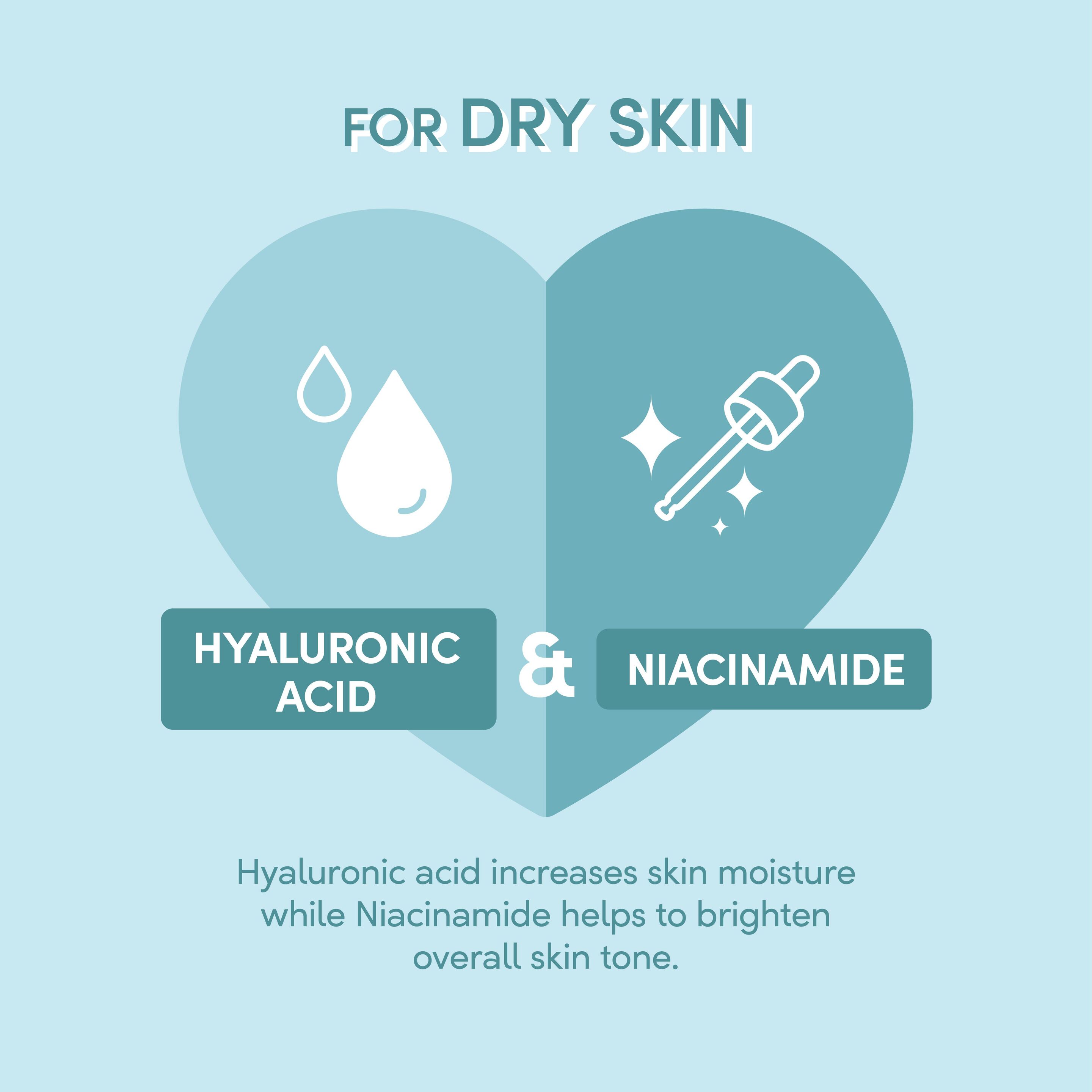 Infographic of hyaluronic acid and niacinamide