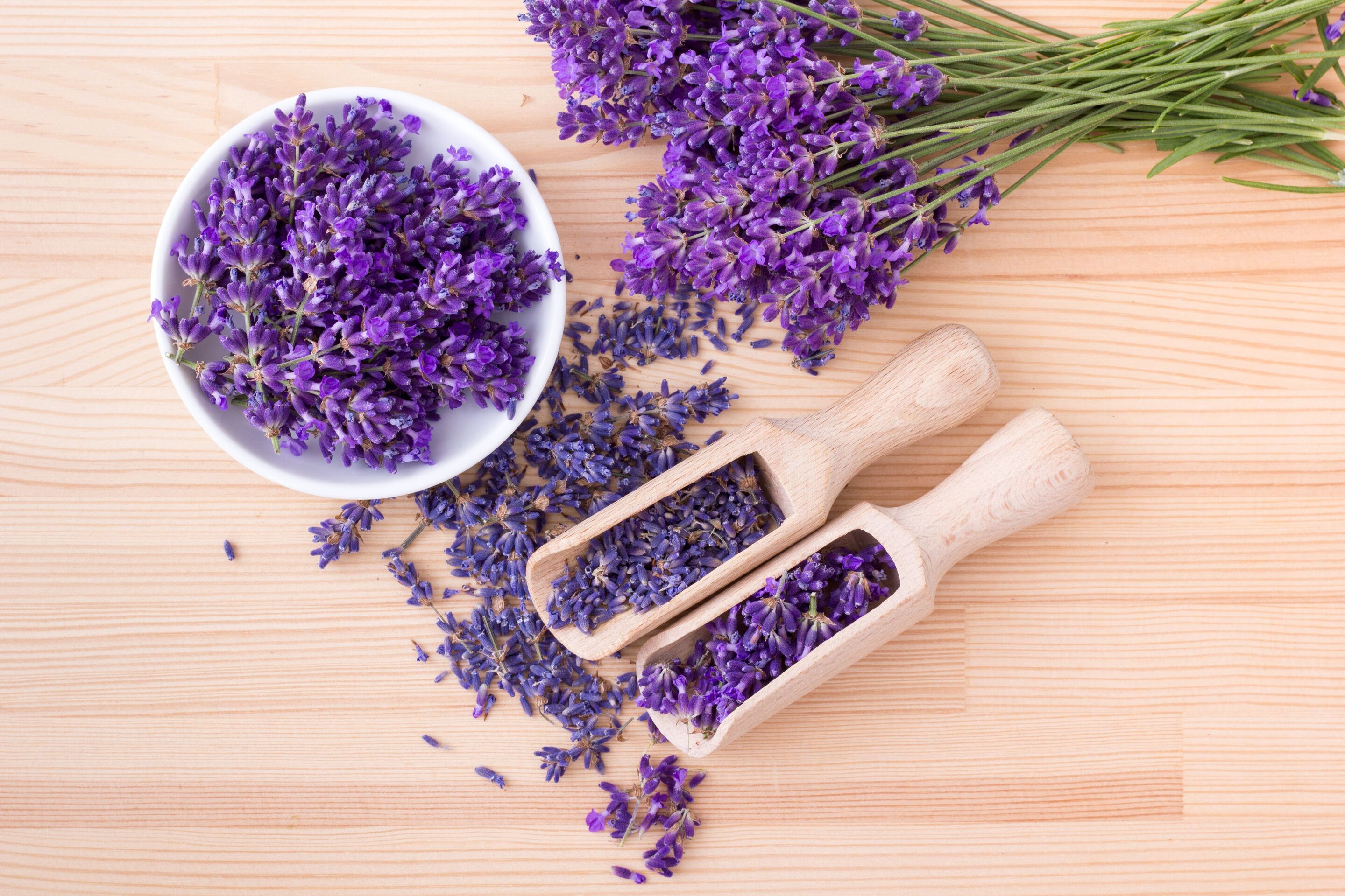 Lavender in wooden bowl and spoons