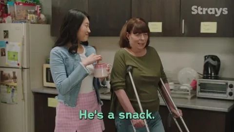 A gif of two women calling a guy a snack in Strays. 