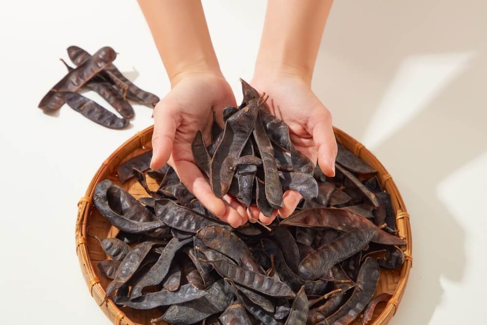 cách mọc tóc nhanh cho nam bồ kết bàn tay đang cầm những quả bồ kết khô màu nâu đen