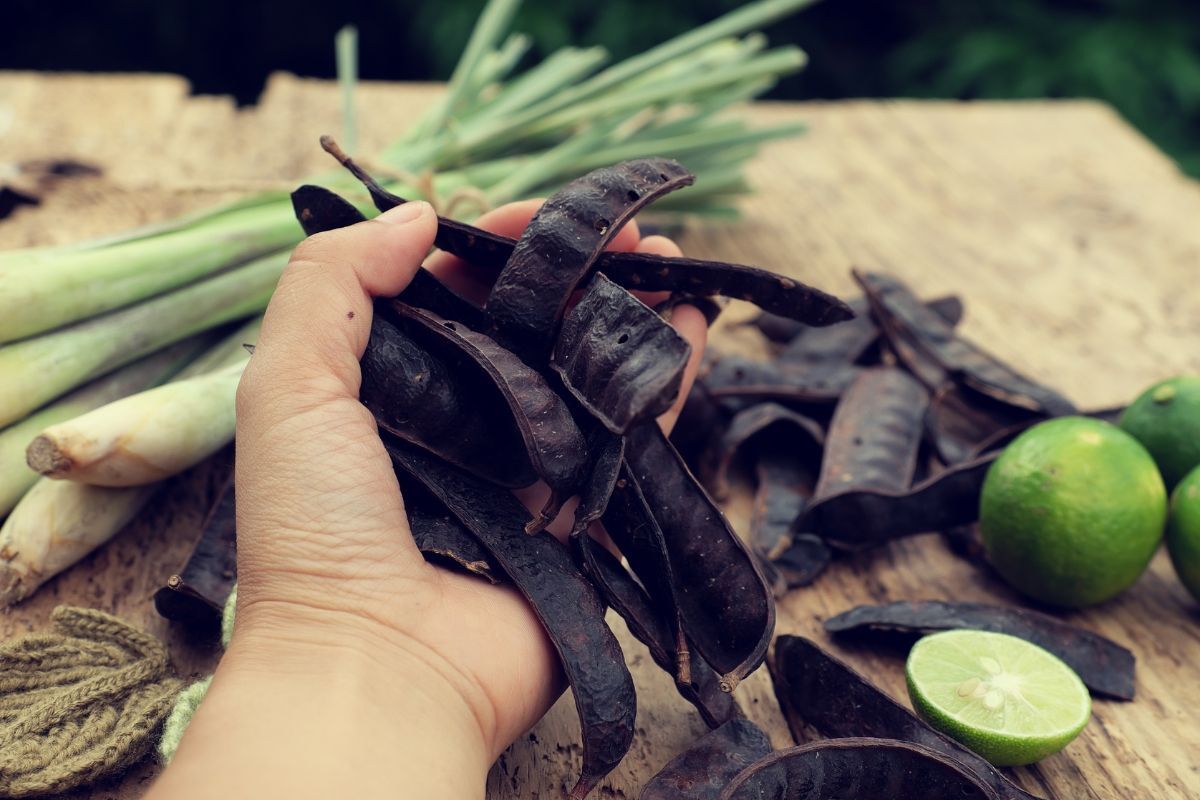 Cách trị rụng tóc bằng bồ kết