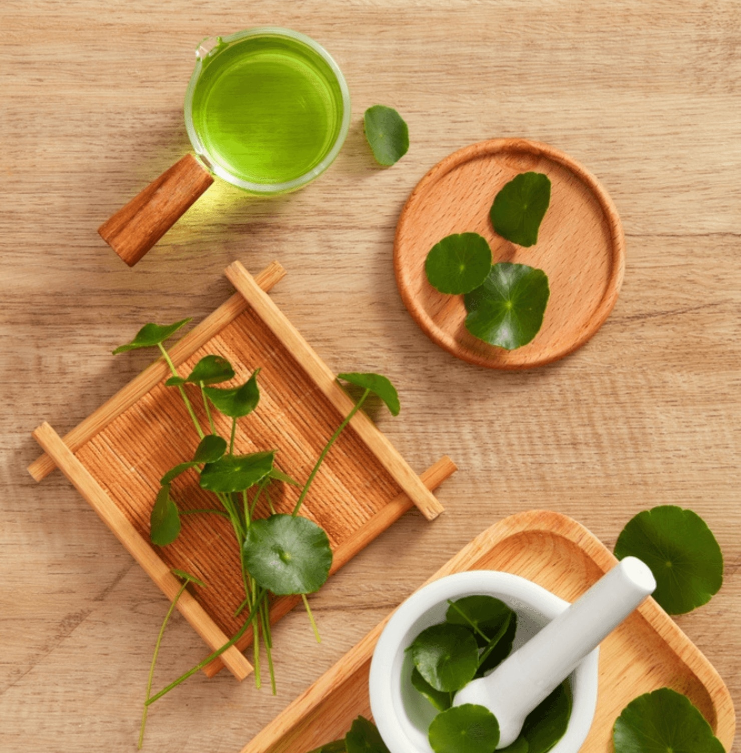 rạn da chân rau má đựng trong cối màu trắng và đựng trong khay gỗ nâu