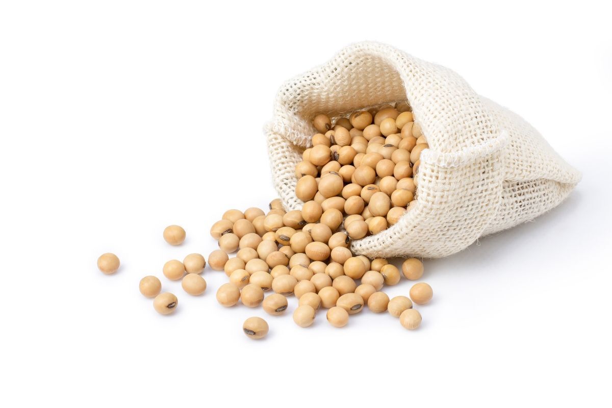 bị mụn không nên ăn gì đậu nành