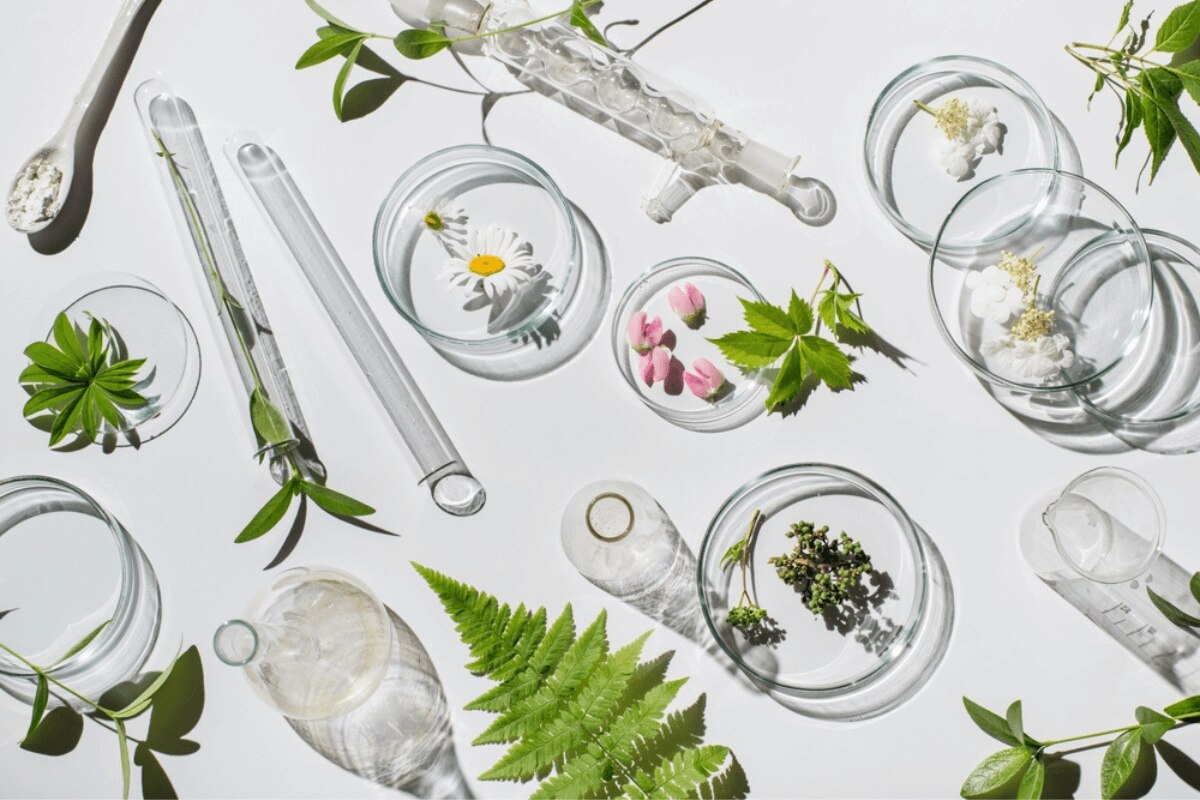  mỹ phẩm thiên nhiên các miếng kính tròn đựng các mẫu thực vật kế bên các ống nghiệm thủy tinh trên nền trắng