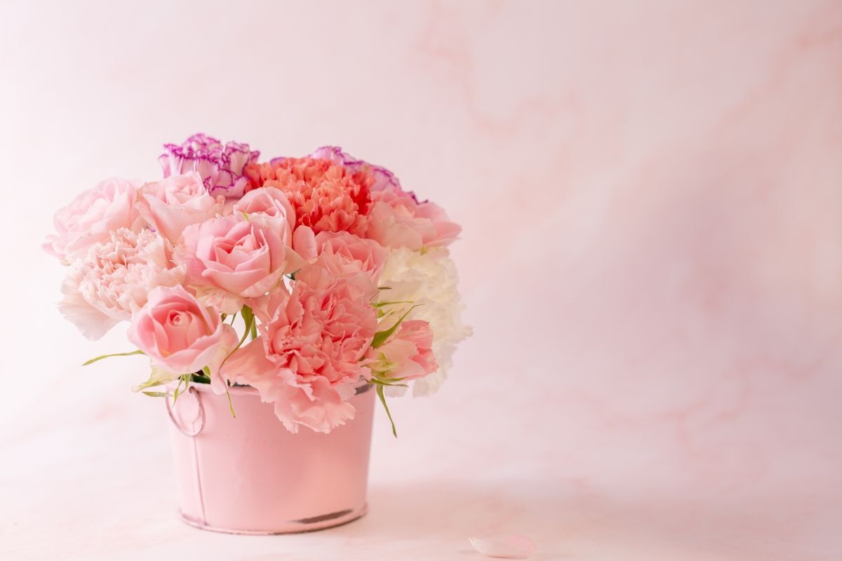 cách cắm hoa cẩm chướng vào bình thấp