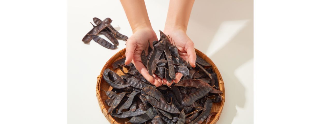 dầu gội bồ kết quả bồ kết nằm trong lòng bàn tay bên trên mẹt đựng các quả bồ kết