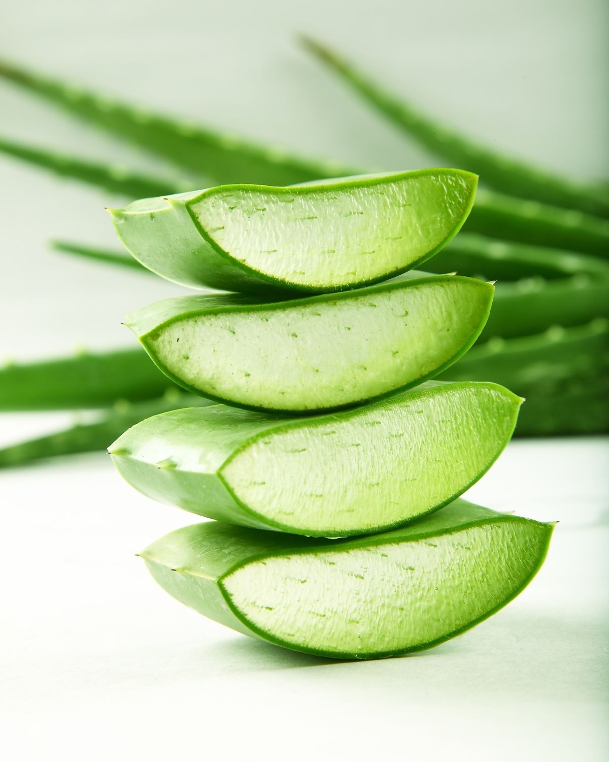 cách sử dụng dầu dừa cho tóc mọc nhanh 