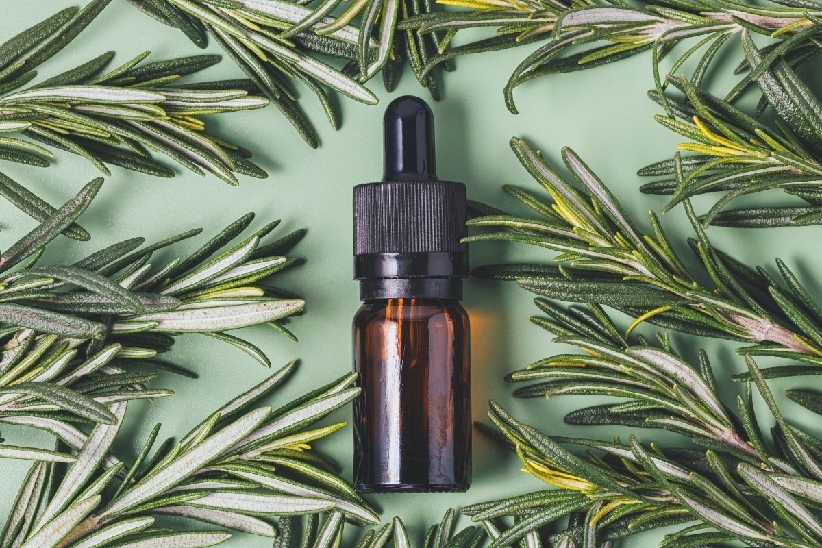 cách sử dụng dầu dừa cho tóc mọc nhanh