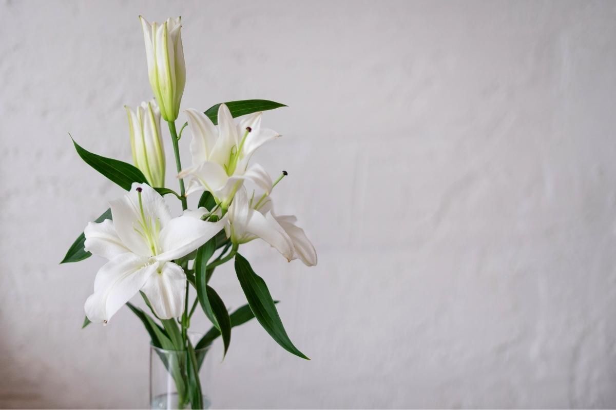 Cách cắm hoa ly trong lọ thuỷ tinh trong suốt