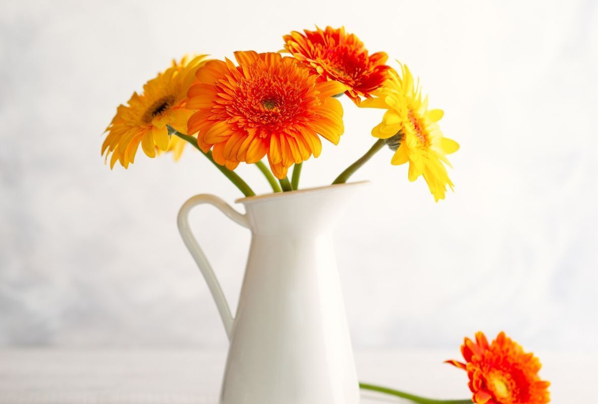 cách cắm hoa lay ơn và cúc