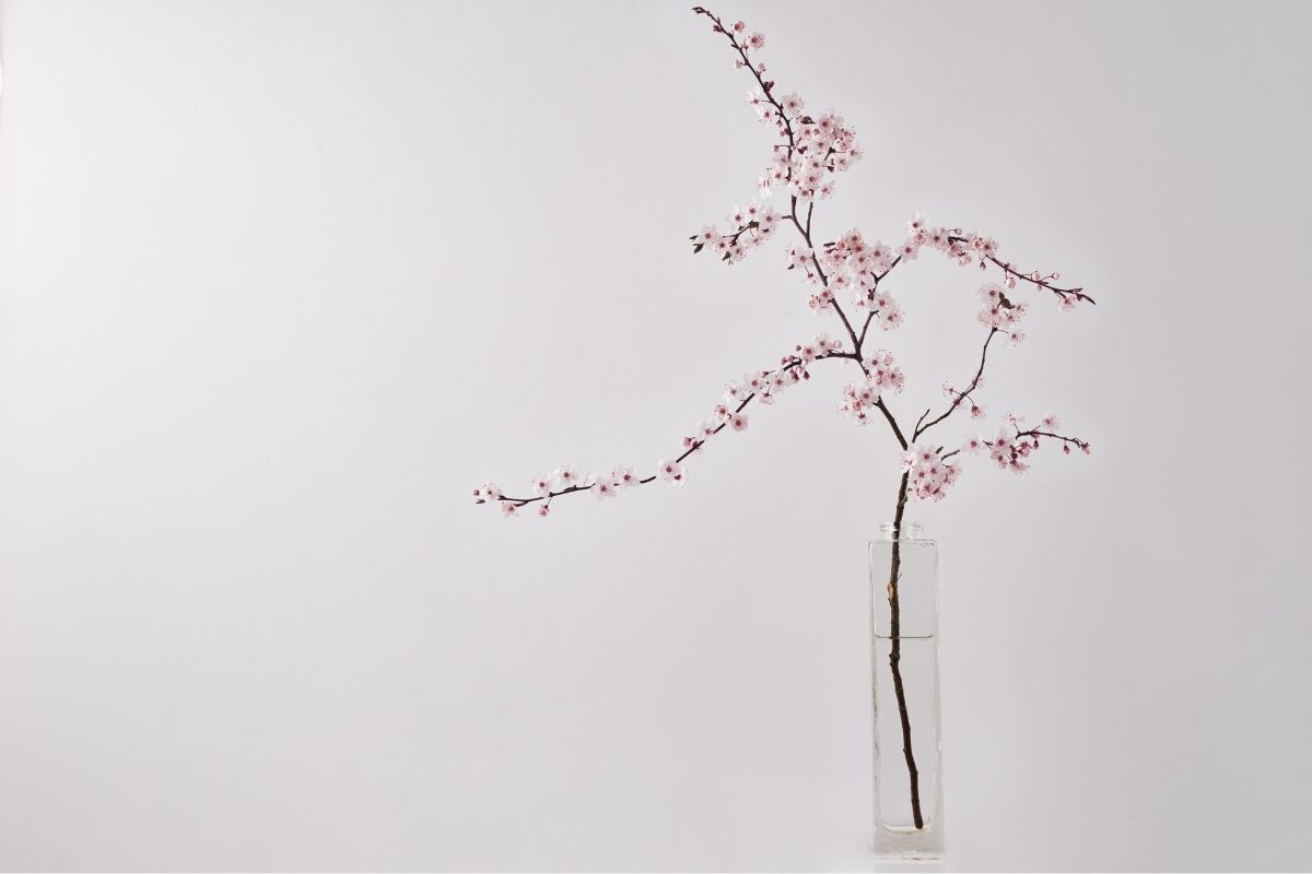 Hoa đào cắm bình thuỷ tinh ngày Tết