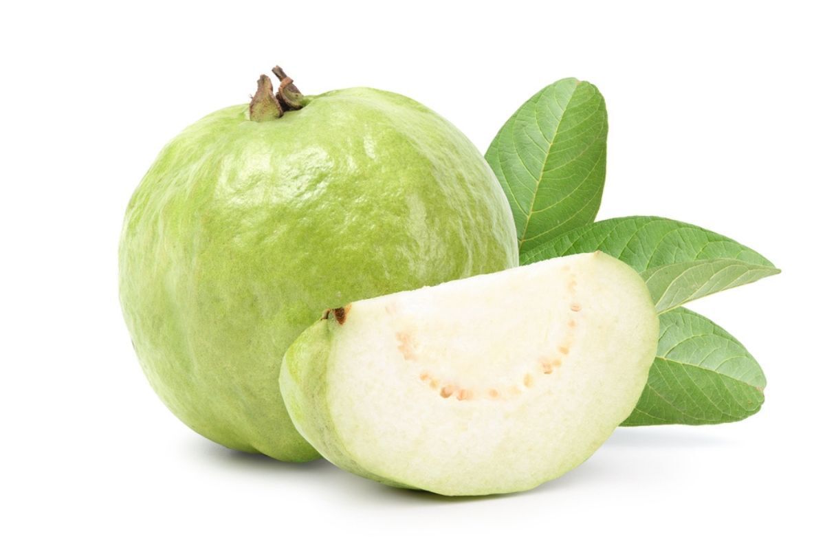 ăn gì để tóc mọc nhanh vitamin c trái ổi trái ổi xanh và lát cắt ổi trên nền trắng