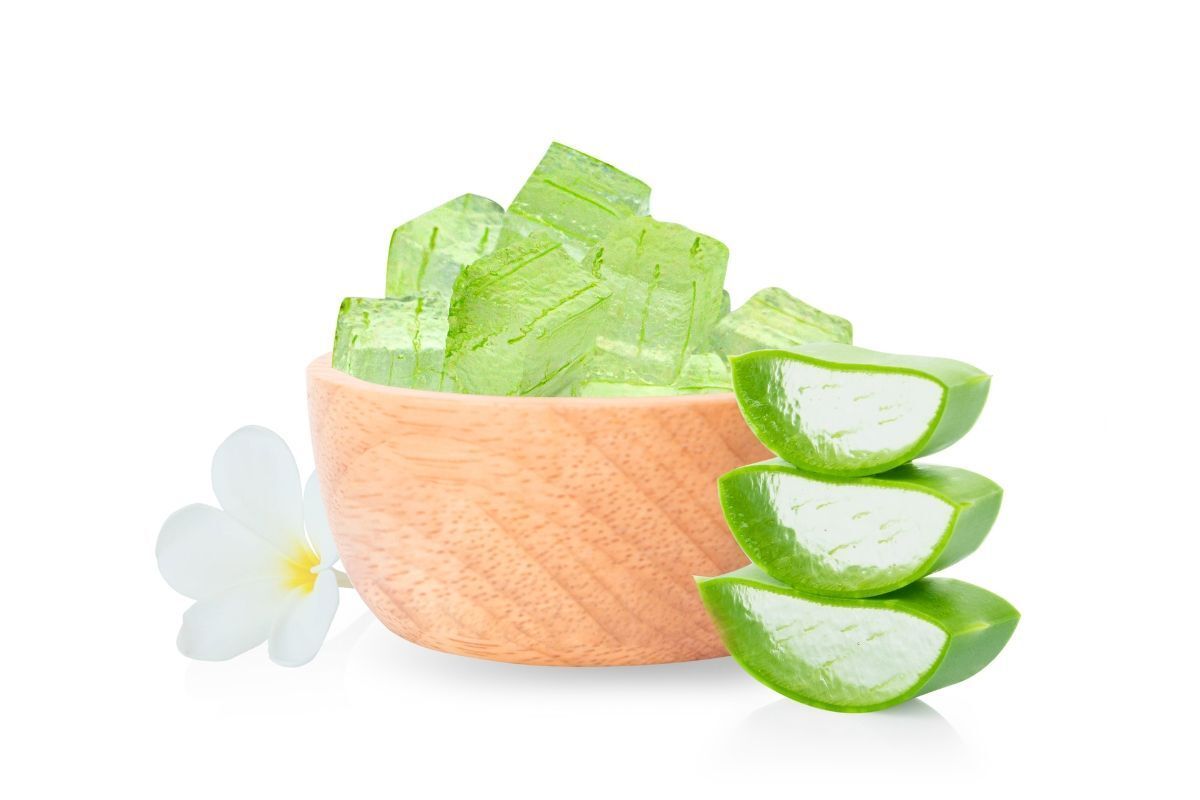 Sử dụng gel nha đam