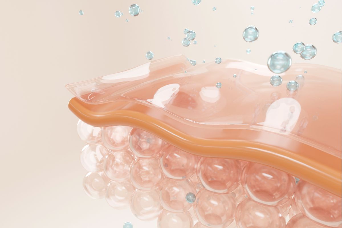 body lotion là gì body lotion có tác dụng gì tăng cường sức đề kháng của da hình ảnh cắt lớp minh họa làn da khỏe mạnh và sáng hồng. 