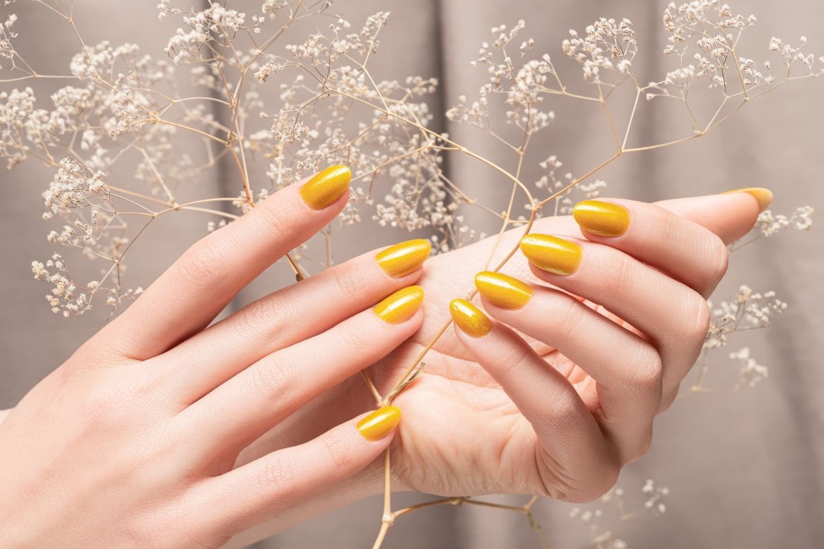 nail màu vàng móng màu vàng nhũ bàn tay cầm nhánh hoa khô