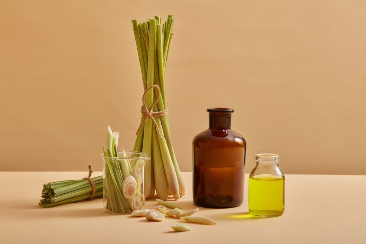 Cách trị gàu tại nhà bằng tinh dầu sả