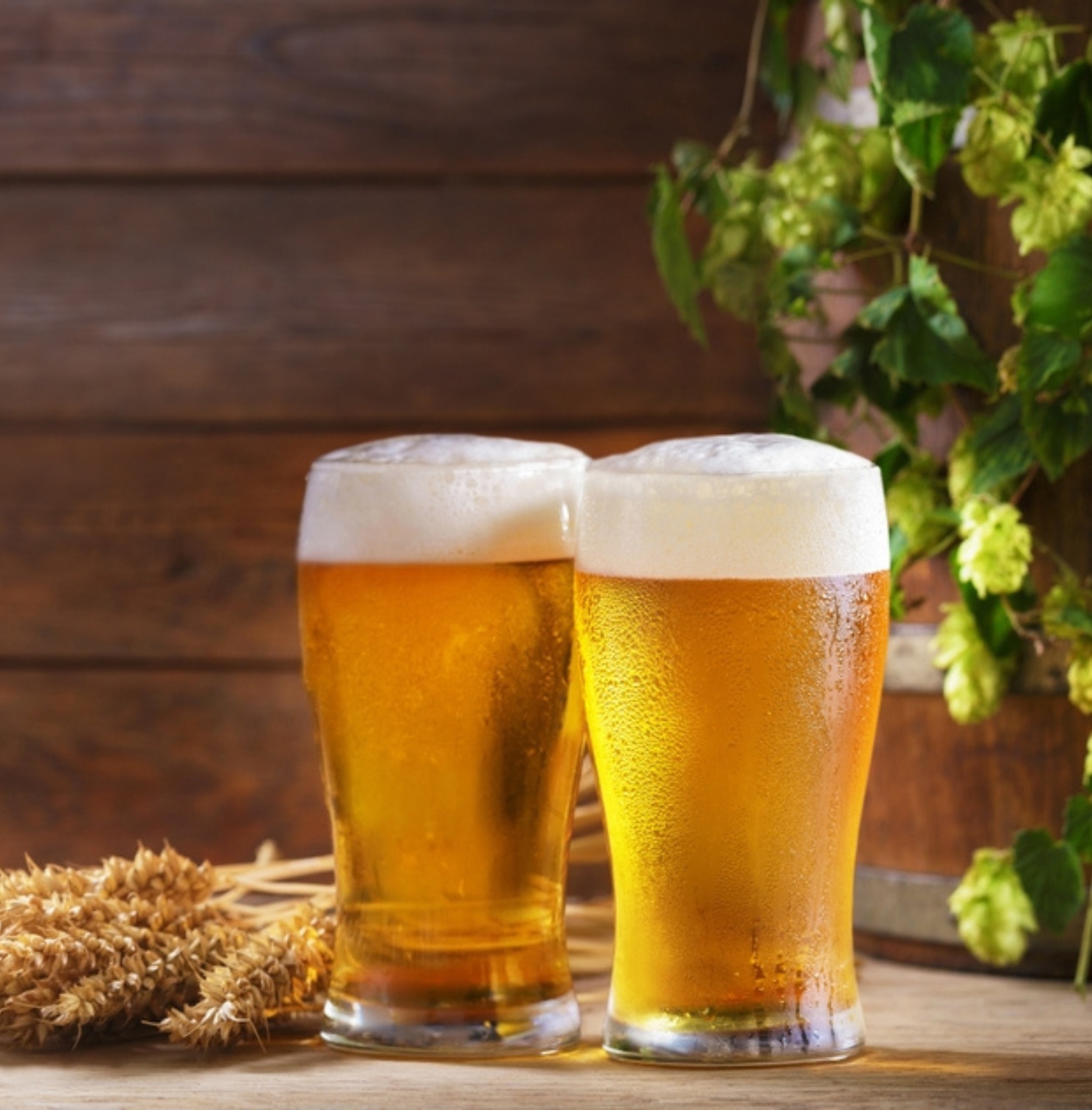 vitamin b1 có tác dụng gì cho tóc ủ tóc bằng vitamin b1 và bia hai ly bia kế bên nhánh lúa mạch trên bàn gỗ