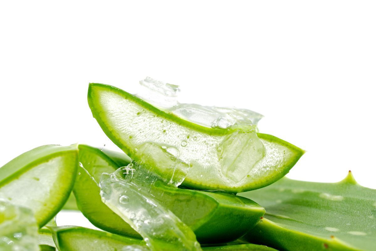 xịt khoáng có tác dụng gì làm dịu làn da cháy nắng các lát nha đam nằm chồng lên nhau trên nền trắng