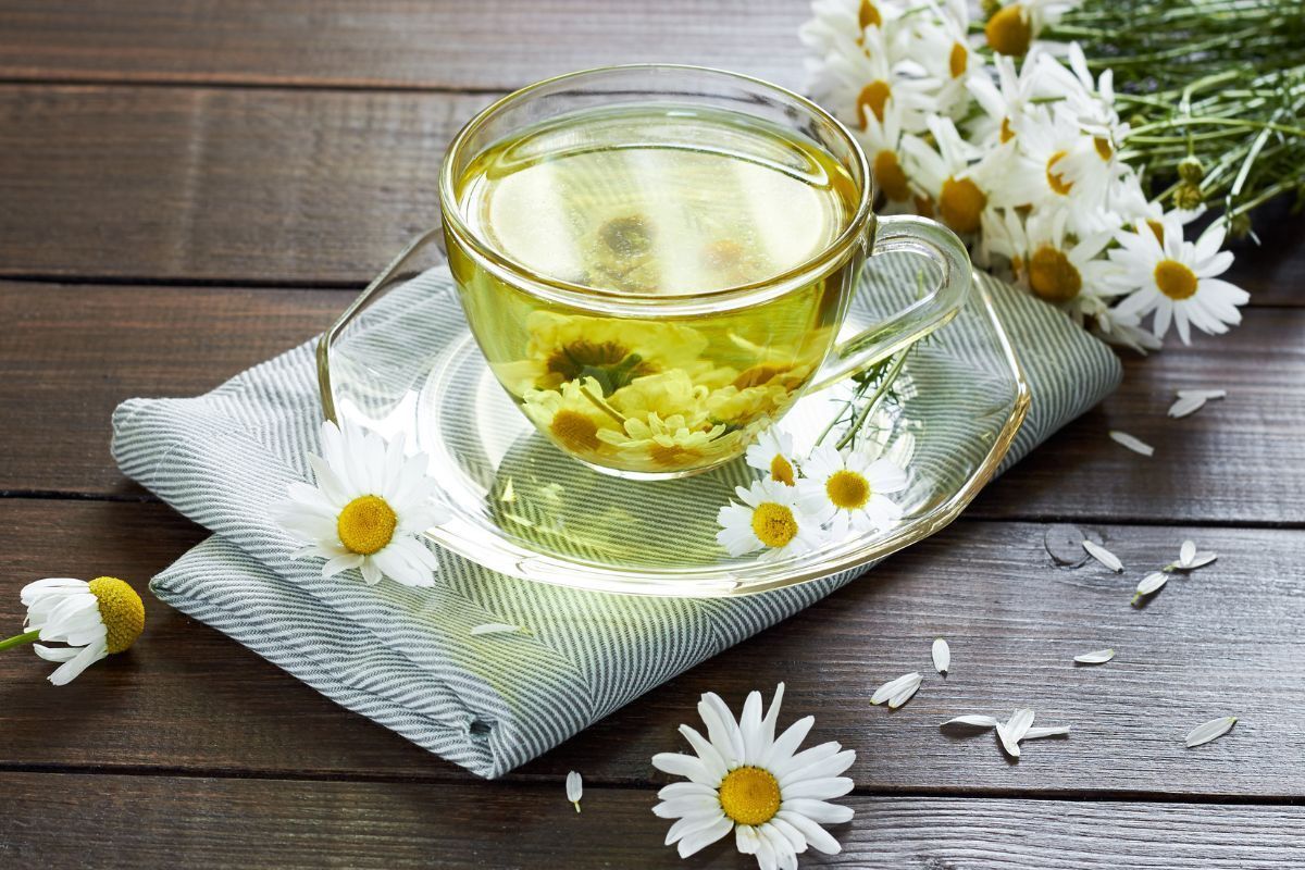 da bị cháy nắng ly trà hoa cúc màu vàng nhạt đặt trên bàn gỗ nâu