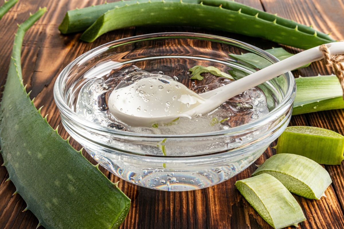 tóc uốn bị xù nha đam dưỡng ẩm tóc 