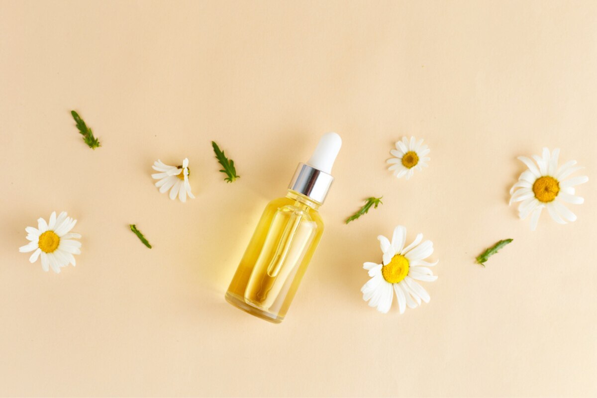 chiết xuất cúc la mã có tác dụng gì điều trị vết thương