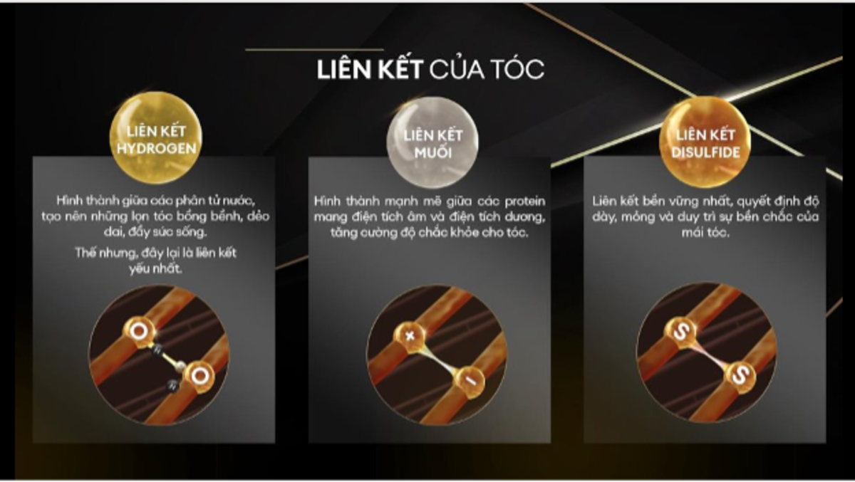 Ba loại liên kết tóc 