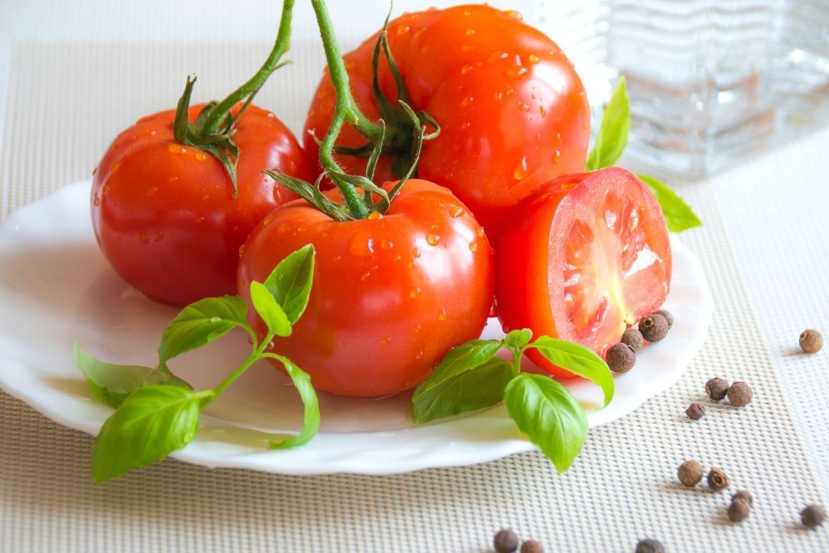 Những quả cà chua chín màu đỏ được đặt trên đĩa tròn màu trắng