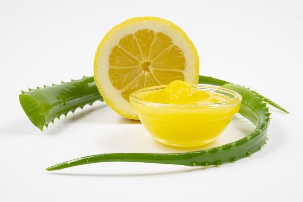 gội đầu bằng chanh và nha đam miếng chanh cắt lát xếp cạnh lá nha đam