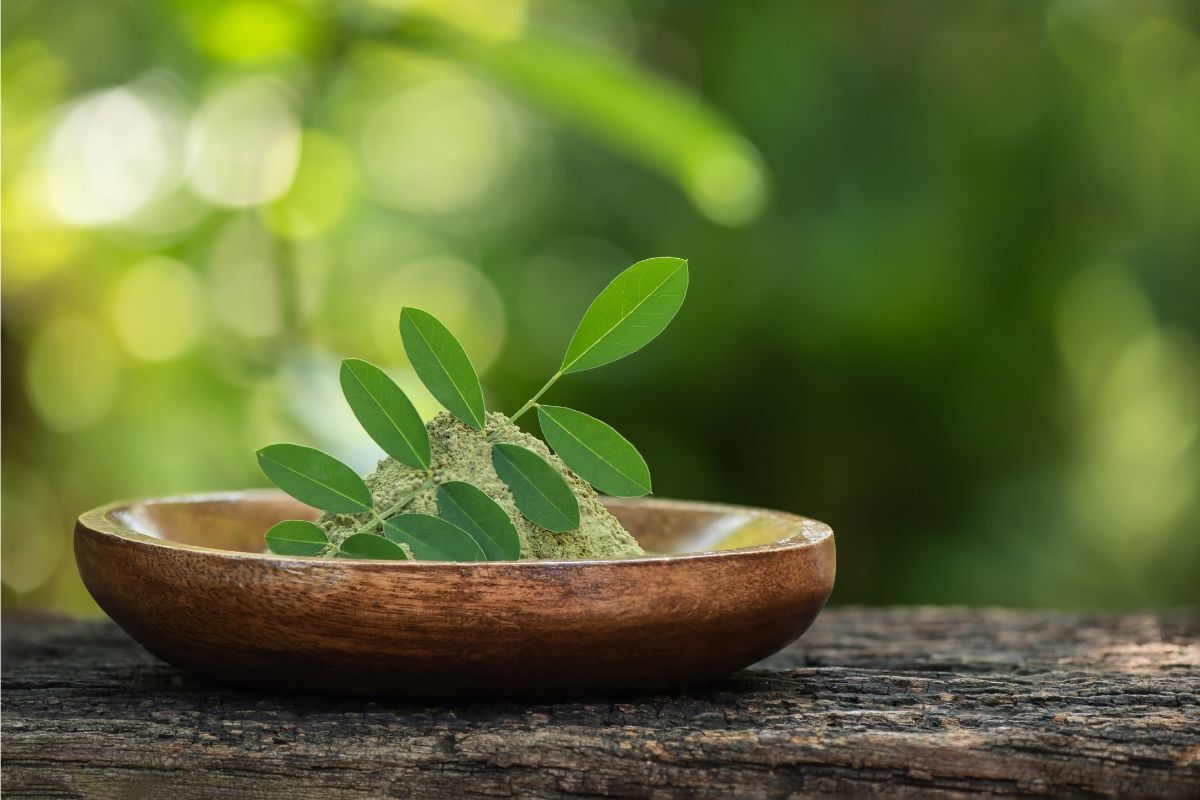 nhuộm tóc bằng bột lá chàm