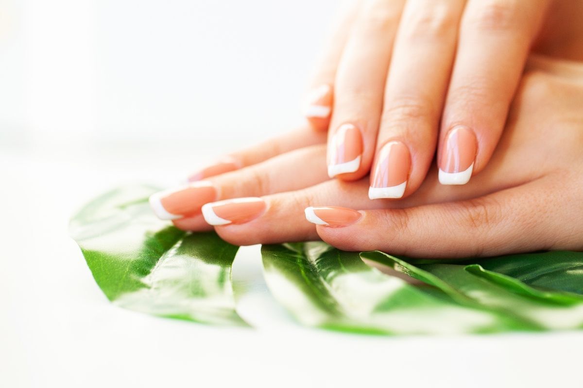 Các mẫu nail đơn giản dễ thương bàn tay với đầu móng màu trắng đang đặt úp lên lá cây màu xanh