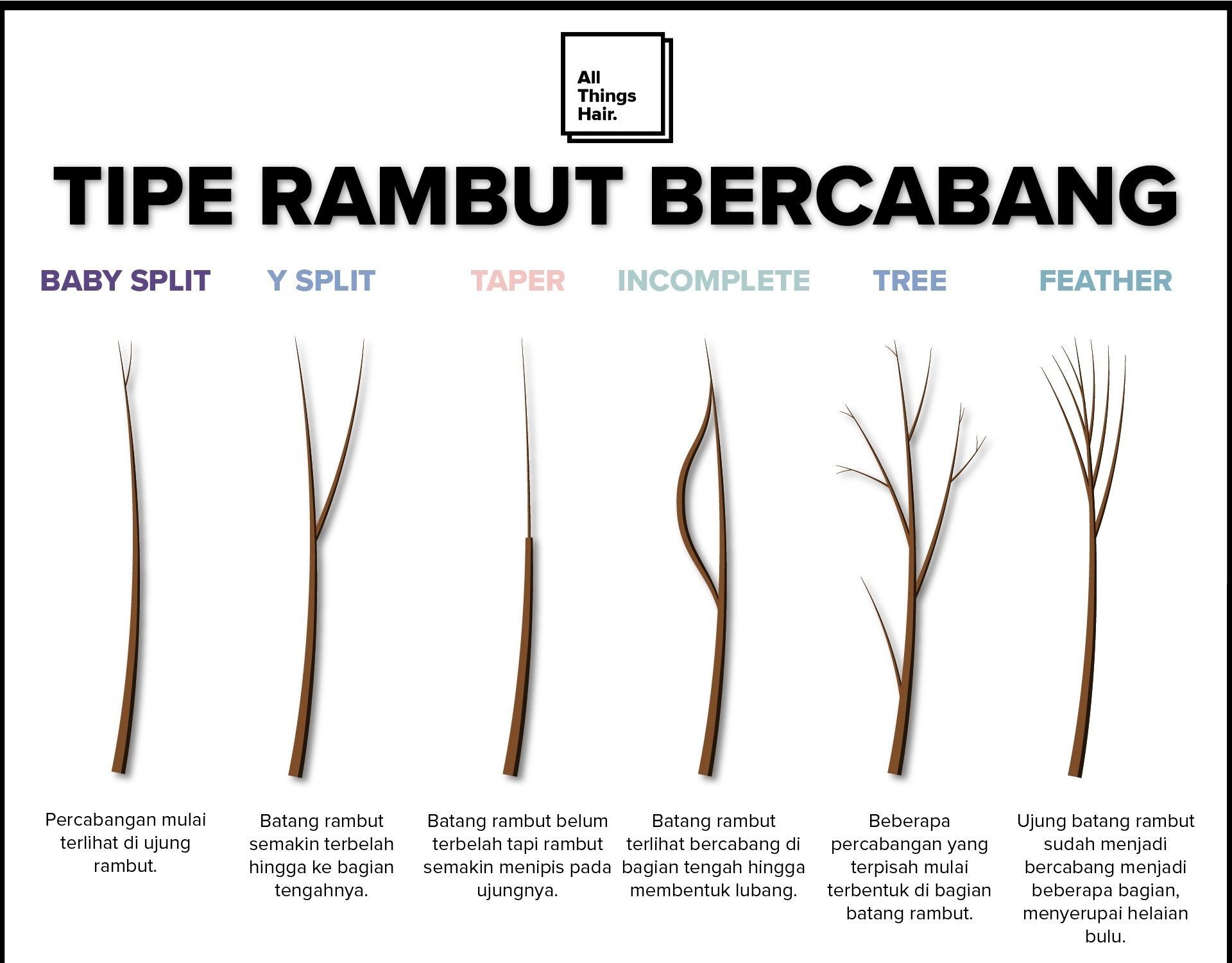 infografik yang menjelaskan tipe-tipe rambut bercabang