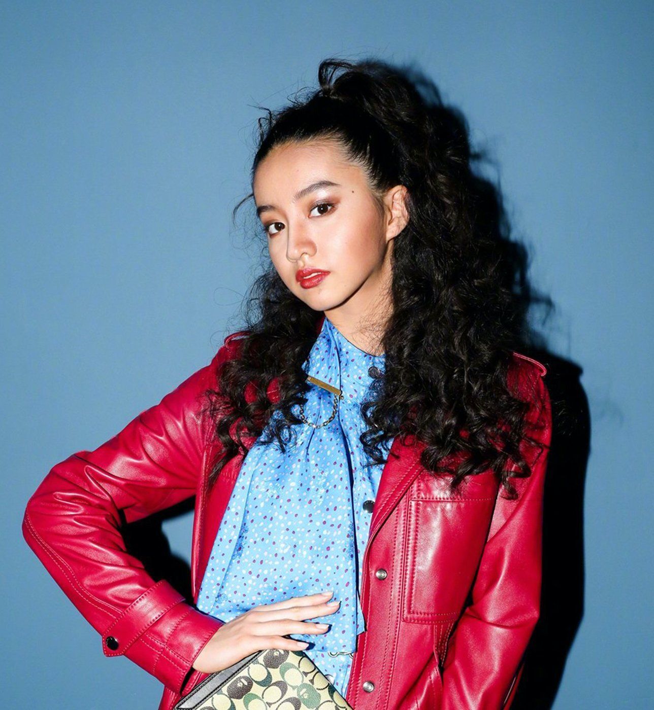 High curly ponytail. (Foto: shutterstock)