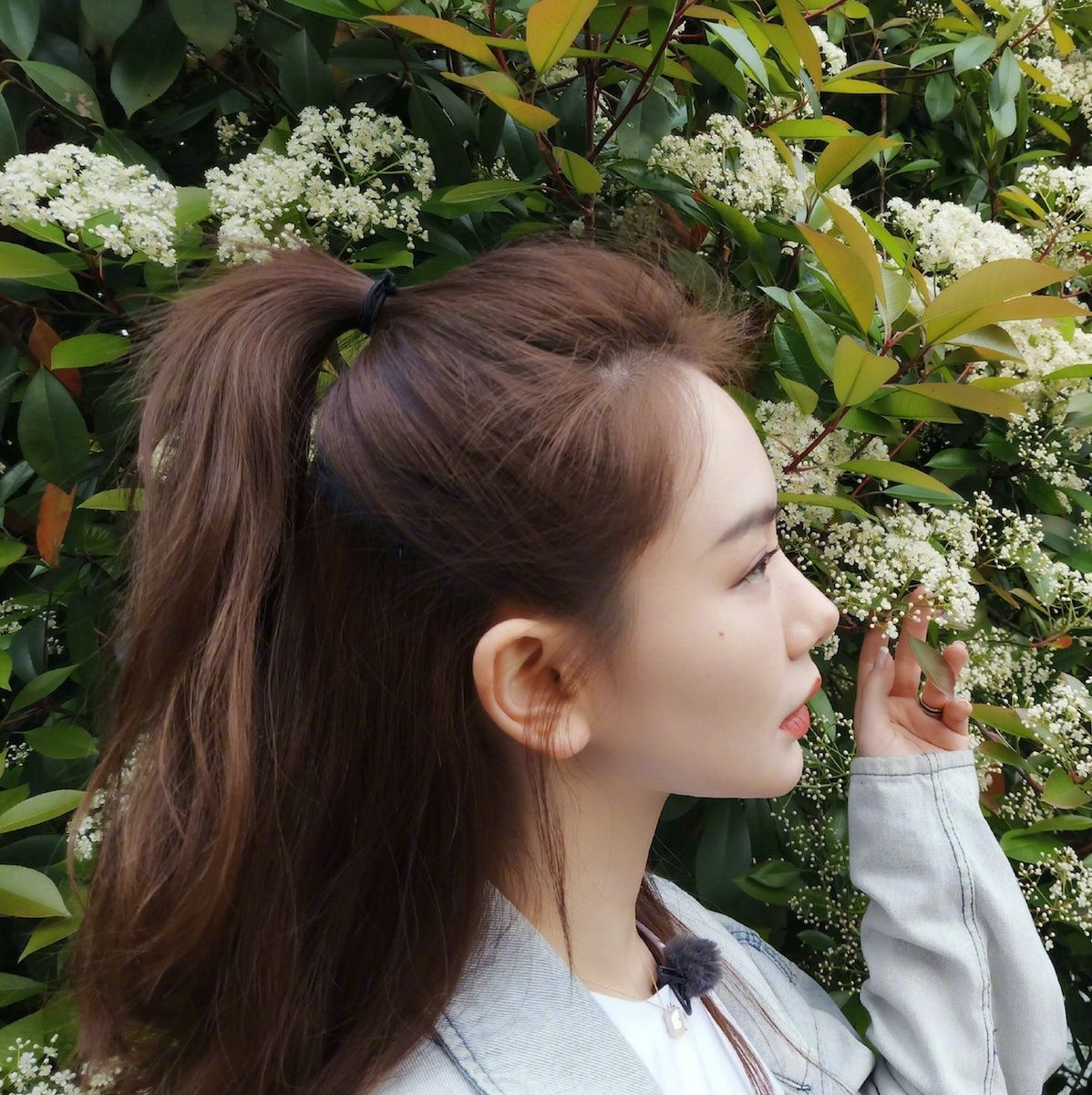 Half done ponytail. (Foto: shutterstock)