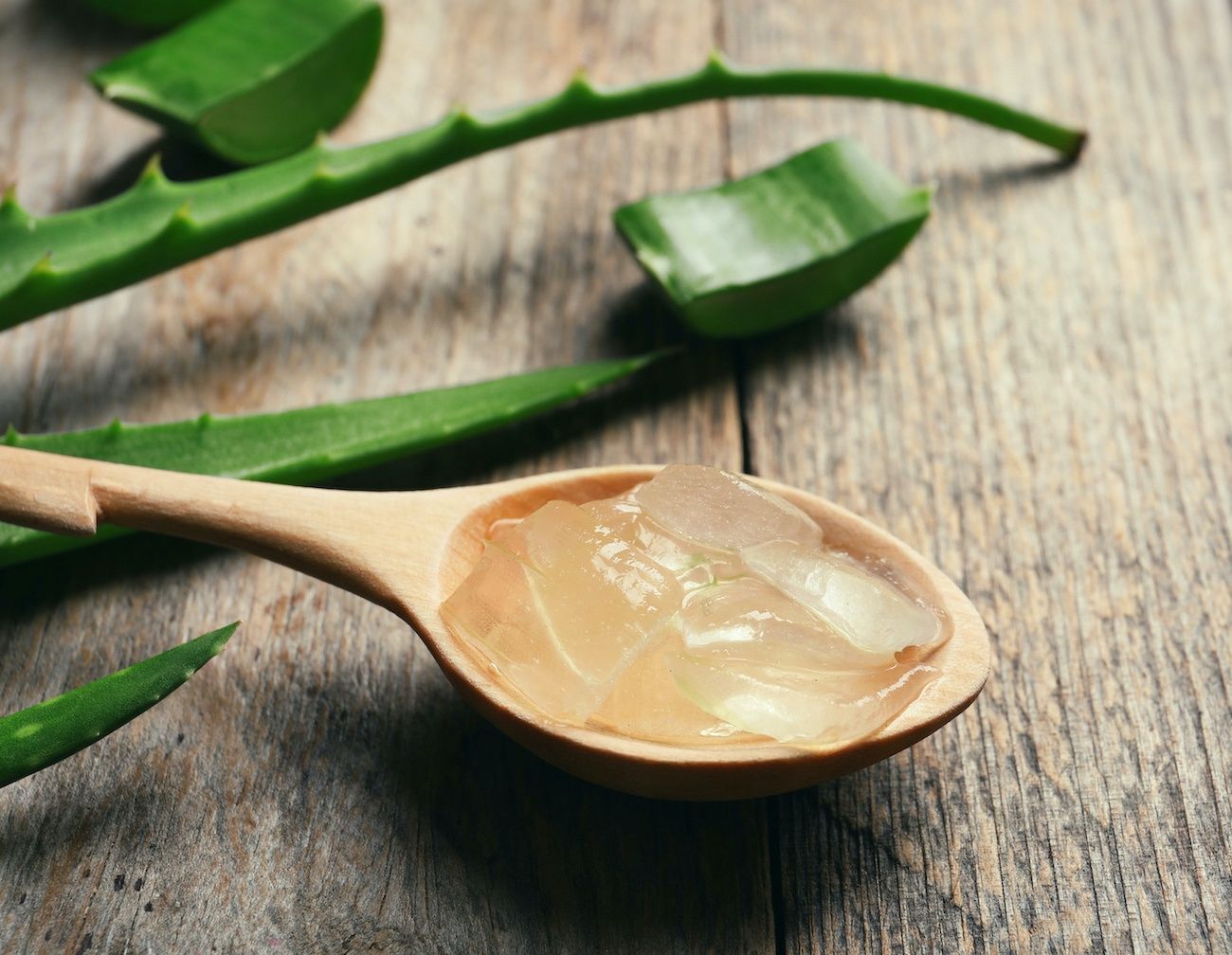 resep alami perawatan rambut dengan aloe vera
