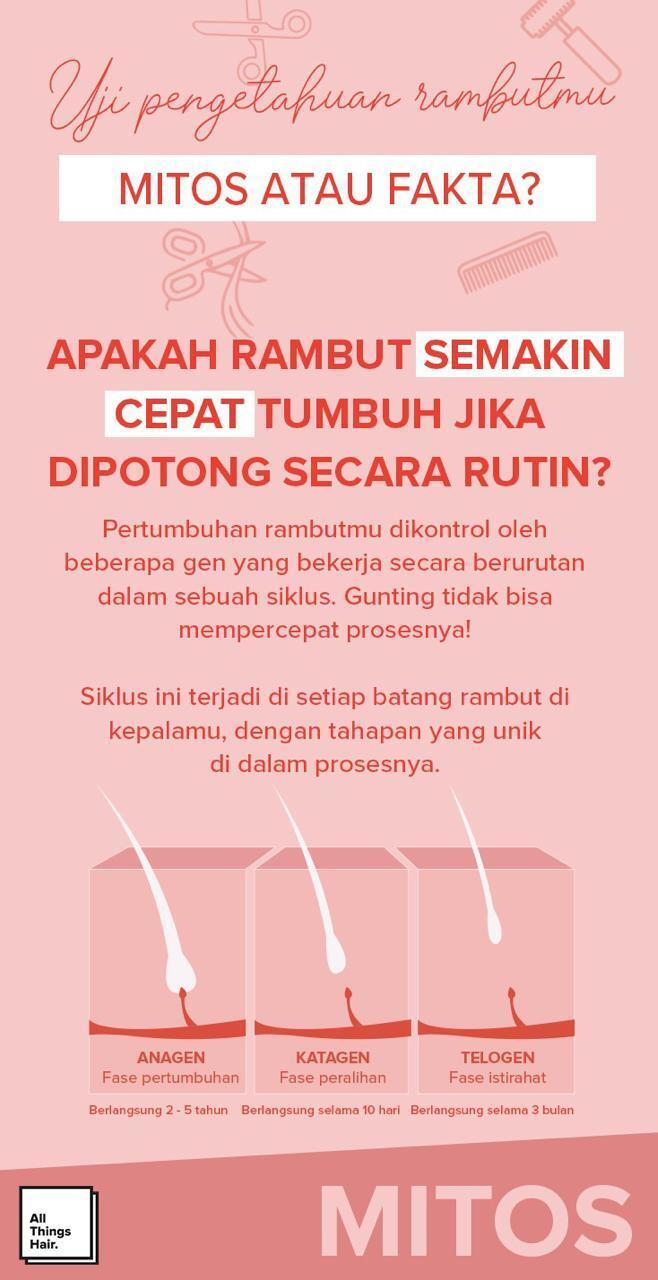 infografik pertumbuhan rambut