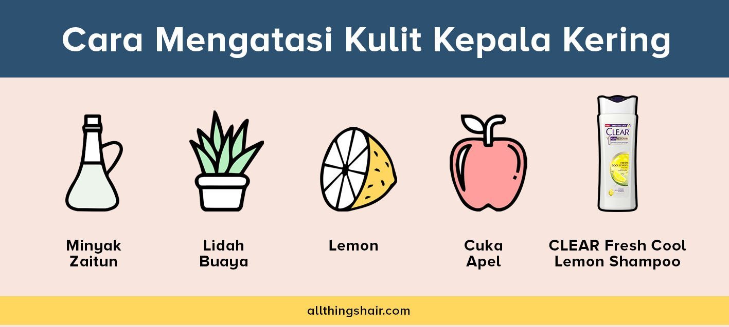 Infographic Cara Mengatasi Kulit Kepala Kering