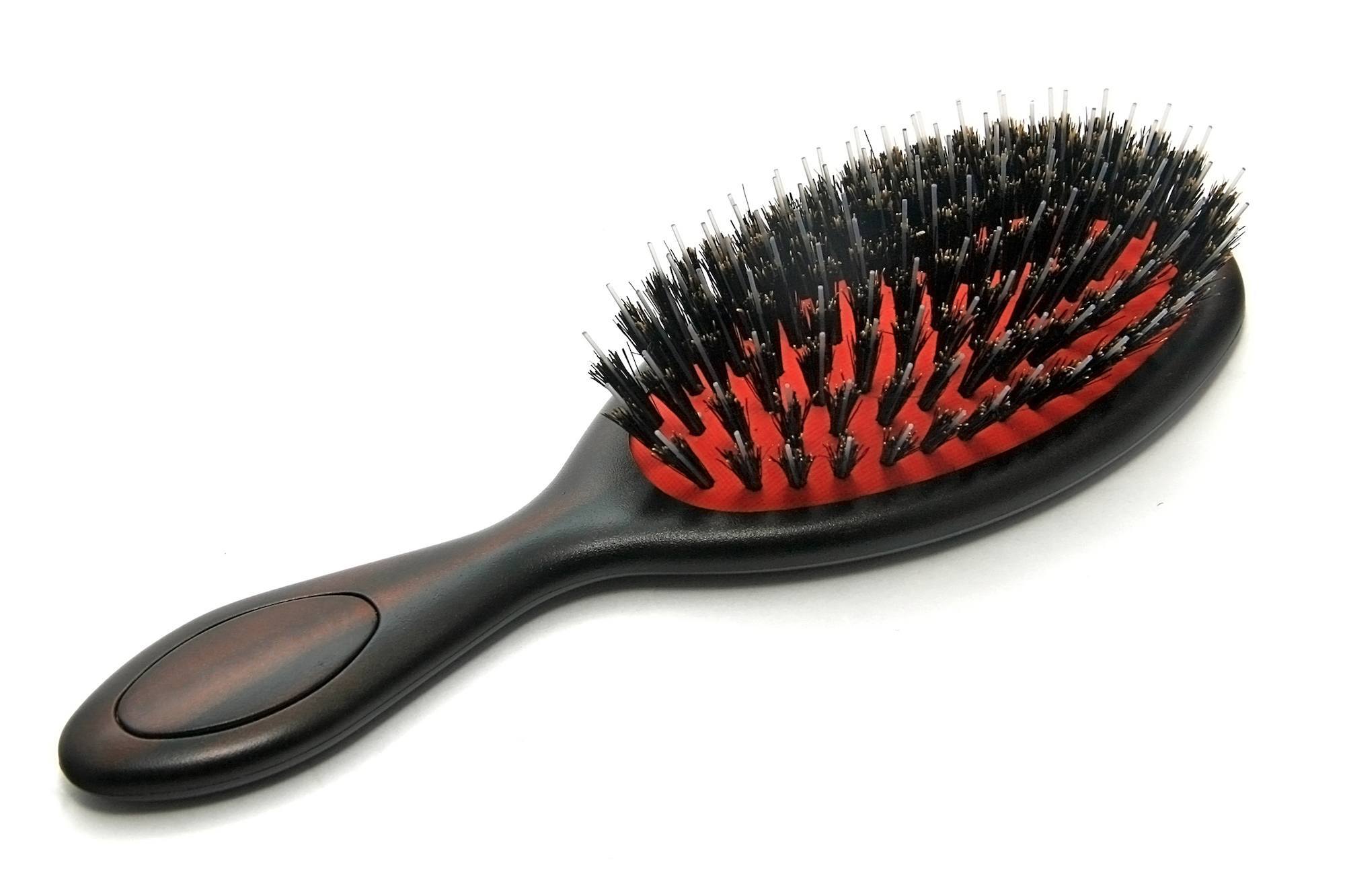 bulu sikat (bristle brush)