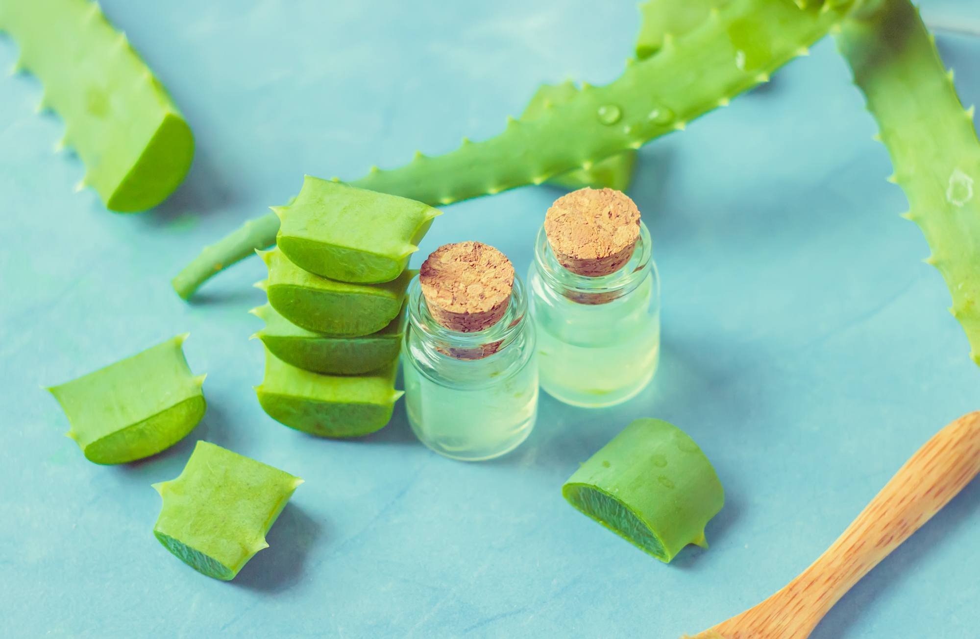 Ritual cuci rambut dengan aloe vera
