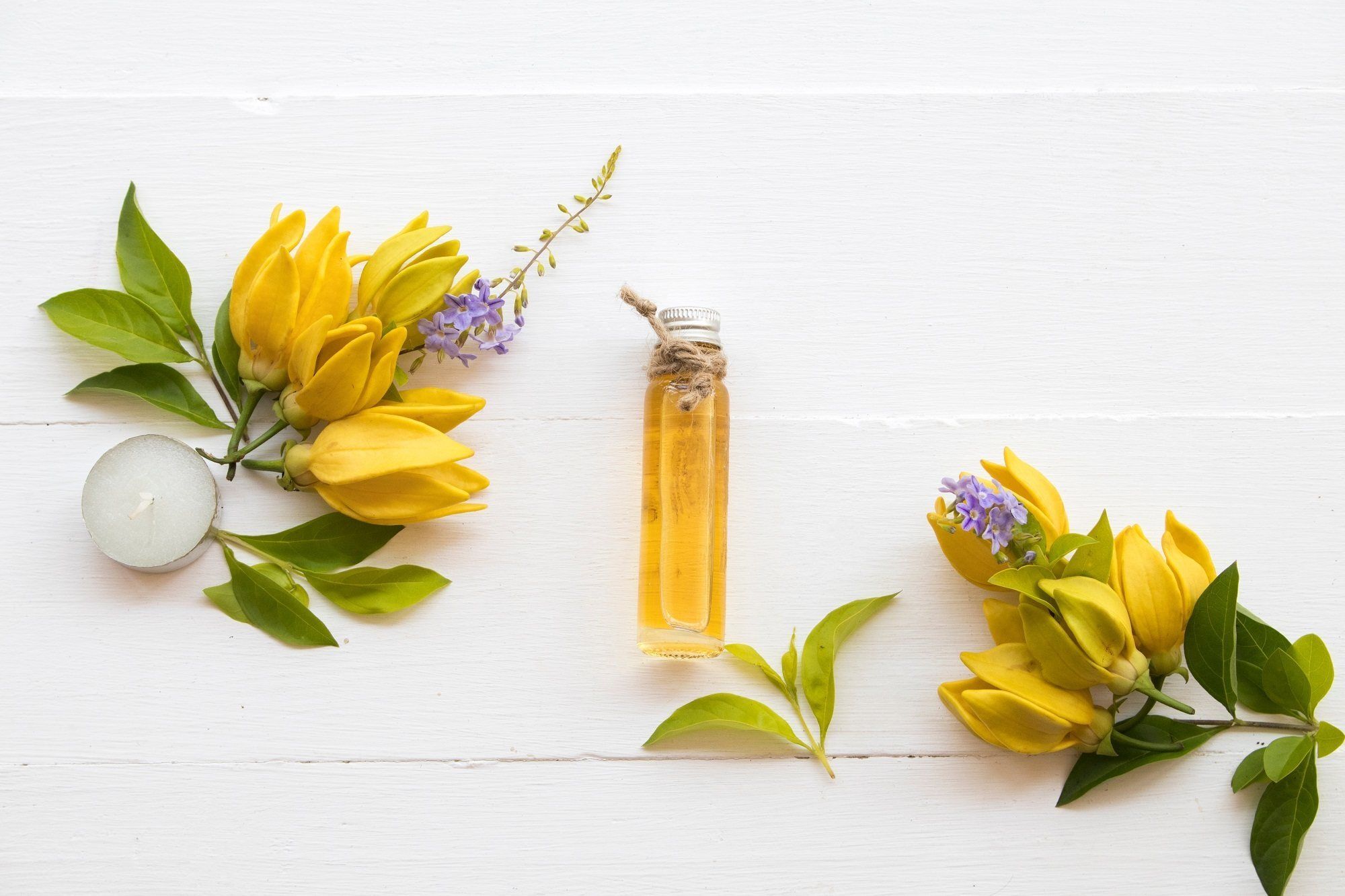 Bunga ylang ylang dengan minyaknya dalam botol bening.